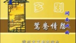 鸳鸯情缘