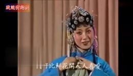 经典黄梅戏《小辞店》选段,马兰名家精彩演绎,不容错过的戏曲盛宴 经典黄梅戏《小辞店》选段,马兰名家精彩演绎,不容错过的戏曲盛宴
