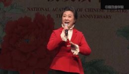 京剧《对花枪》选段袁慧琴、张兰、侯宁联袂演绎，经典唱段韵味十足下载