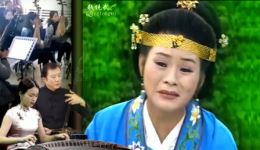 安徽庐剧《晚娘戏子》全集在线观看，武道芳朱德顺经典演绎家庭伦理大戏下载