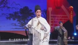 秦腔《横渠先生》选段张涛精彩演绎，名家风范尽显，经典不容错过下载