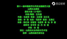 上党鼓书《小毛驴》戏曲视频下载 - 经典曲目高清资源一键获取