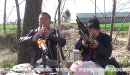 唢呐高手演绎经典《河南越调》传统曲目，纯正戏曲韵味在线聆听