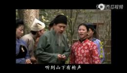 赣南采茶戏沙家浜 智斗刁胡第2集