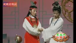 黄梅戏《红楼梦》选段下载马兰、吴亚玲经典演唱，感受传统戏曲魅力下载