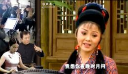 泪美人