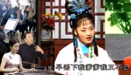 安徽庐剧《蜜蜂记》在线观看盛小五周大三演绎经典，感受传统戏曲魅力下载