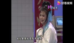 双灵牌