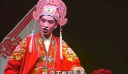 庐剧《白云龙休妻》上集在线观看，陈正华王祥忭精彩演绎下载