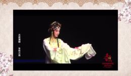 朱丽小姐