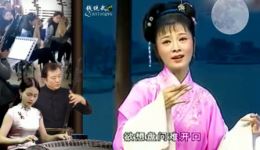 何云经典黄梅戏《月儿弯弯照九州》高清资源下载，领略黄梅戏名家风采下载