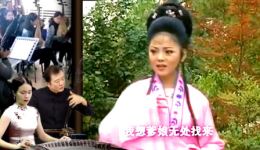 云楼会