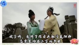 越剧《情探·送王郎》外景版金玲丁玉珍深情演唱，经典送别唱段在线欣赏下载
