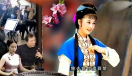 黄梅戏《棒打薄情郎》何云主演，经典戏曲全场下载，演绎薄情郎悔悟故事下载
