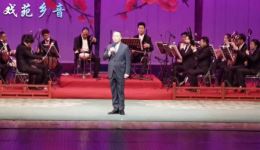 河北梆子《打金枝》选段张四刚达子腔经典演绎,非遗戏曲在线观看下载 河北梆子《打金枝》选段张四刚达子腔经典演绎,非遗戏曲在线观看下载