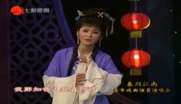 黄梅戏《女驸马·绣楼》程小君演唱，经典戏曲片段在线下载