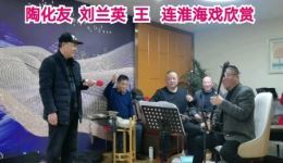 淮海戏《三拜堂》陶化友刘兰英王连演唱片段在线下载 - 传统戏曲资源下载