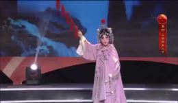 安国夫人