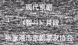 现代京剧《沙家浜》经典片段《智斗》下载，阿庆嫂智斗刁德一精彩呈现