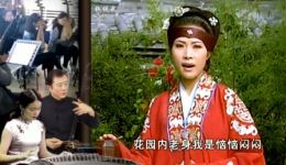 安徽庐剧《王三姐》在线观看郑芳等名家演绎，婚姻抗争经典戏曲下载
