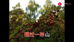 豫剧《朝阳沟》伴奏下载经典唱段《走一道岭来翻一架山》资源，魏云韩玉生原唱，戏曲伴奏一键获取下载