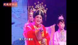 豫剧《五世请缨》经典全剧下载，名家金不换精彩演绎，传承常派艺术精髓下载