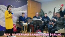 淮海戏《皮秀英四告》唱段选《书房认夫》刘兰英张九军演唱 经典戏曲下载下载