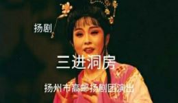 扬剧《三进洞房》上集高清下载 - 扬州市高邮扬剧团经典演绎下载