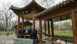 豫剧《朝阳沟》全剧资源下载经典现代戏,大跃进时代奋斗故事 豫剧《朝阳沟》全剧资源下载经典现代戏,大跃进时代奋斗故事