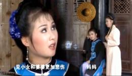 黄梅戏《孤儿寡母好伤心》全场高清下载，刑小凤腾中玉演绎，家庭伦理悲剧在线看下载