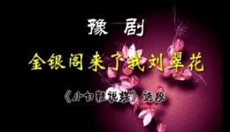 小白鞋说媒