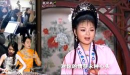 黄梅戏《跳粉墙》郑芳演唱好听唱段集锦，经典戏曲在线下载下载