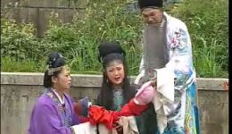 庐剧《假儿子真孙子》第3集夏巧云精彩演绎，家庭伦理大戏在线下载下载