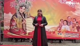 刘新平演唱豫剧《朝阳沟》选段，经典戏曲在线下载，感受传统豫剧魅力下载