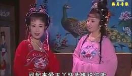 庐剧《雪梅观画》上下集完整资源下载 刘长芬李立存主演高清戏曲全集在线观看下载