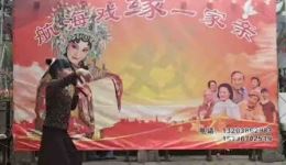 豫剧《秦雪梅》选段 - 国家二级演员娄爱玲经典演唱，品味传统戏曲韵味下载