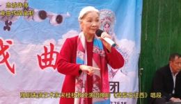 樊梨花征西