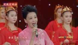 黄梅戏《桃花扇》韩再芬王珮瑜同台演绎，经典剧目尽显家国大义与爱情忠贞下载