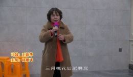 三月桃花红沉沉