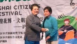 四凤罚咒