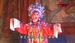 天仙禄