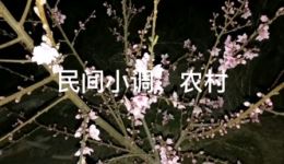 民间小调《姐夫小姨谈恋爱》上集下集高清下载 - 经典情感戏曲资源