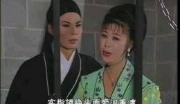 庐剧《换头记》3至4集资源下载，主演林冬梅，精彩传奇剧情抢先看下载