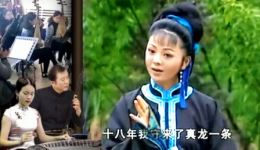 安徽庐剧《王三姐》郑芳演唱，经典地方戏曲资源在线下载下载
