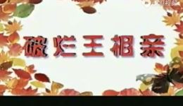 破烂王相亲