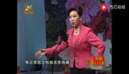 豫剧《大祭桩》选段党玉倩演唱 经典戏曲资源下载 豫剧《大祭桩》选段党玉倩演唱 经典戏曲资源下载