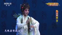 京剧《屈原》上集在线观看经典戏曲资源高清下载,传承爱国情怀 京剧《屈原》上集在线观看经典戏曲资源高清下载,传承爱国情怀