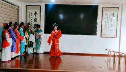 越剧《红楼梦》黛玉葬花经典片段下载，王文娟单仰萍演绎，婉转唱腔尽显哀怨下载