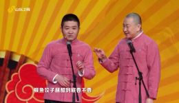 苗阜王声相声《回家过年》爆笑演绎过年回家催生趣事 山东春晚精彩呈现下载