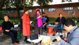 闽剧《杨家将》选段在线下载，经典戏曲资源一键获取下载